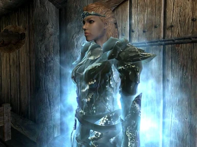 Frozen Ice Armor