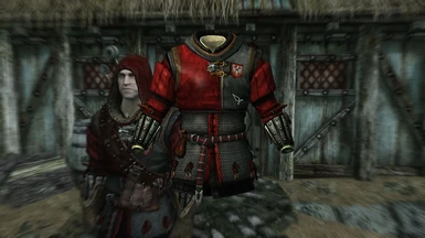Witcher2 Retexture of L0RD0FWars Craftable Seltkirk Armor