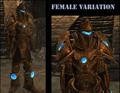 Female Variation of the Armor