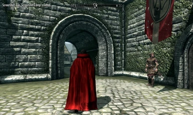 Alucard Clothes with red cape
