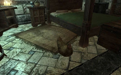 Chicken in the bedroom