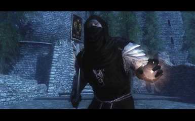 LC_Assassin of Shadows Armor