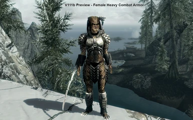 Female Heavy Combat Armor
