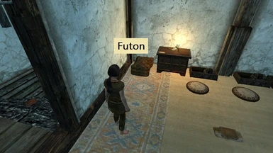 Using Futon 1