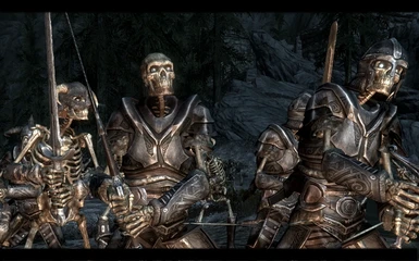 Armored Skeletons