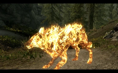 Fire Wolf Aspect
