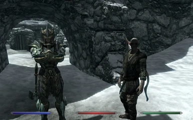 Faendal and a Thalmor guard - Bosmer no longer look like Altmer
