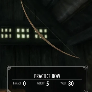 Practice Bow