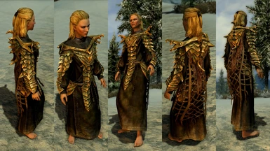Dragon Priest Robes