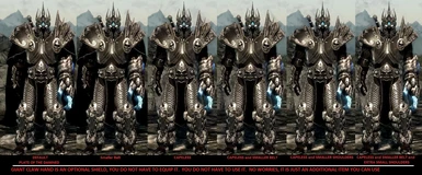6 of the 7 Armor Variations- number 7 on seperate pic