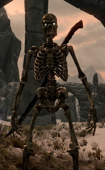 Doom Skeleton image 1