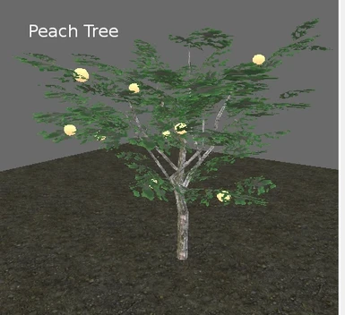 Peach_Tree