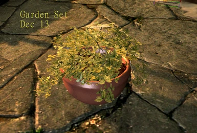 Misc Plant Round Pot