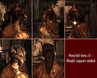 Khajiit ponytails