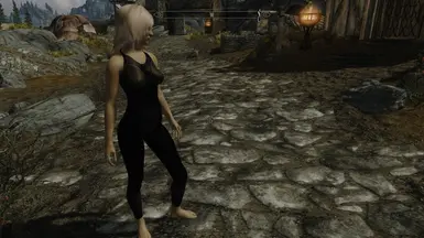 Female Modesty Skin at Skyrim Nexus - Mods and Community