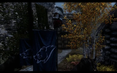 Rirdanwind and the perfect Stormcloak banner