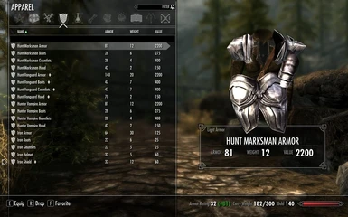 SkyRe Armor Values in game