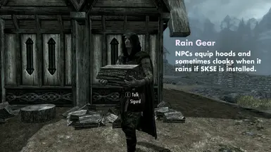 Wet And Cold At Skyrim Nexus - Mods And Community