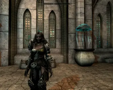  TERA Armors Collection for Skyrim CBBE at Skyrim Nexus 