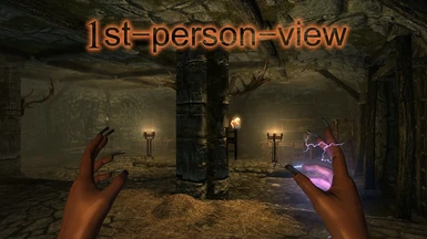 1st person view