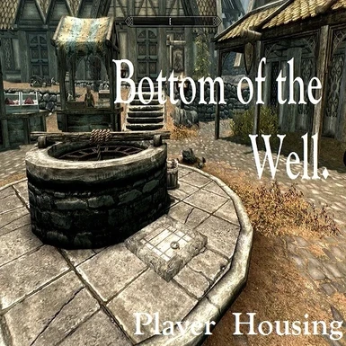 Bottom of the Well Player Housing