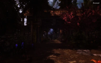 A view of Riverwood