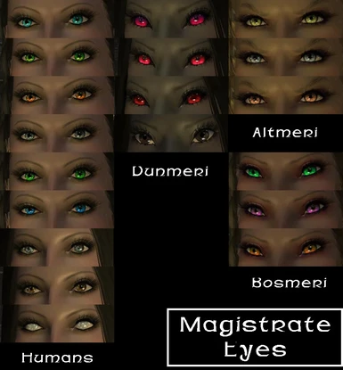 Magistrate Eyes Banner