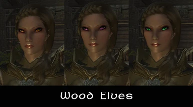 3 New Eyes - Wood Elves