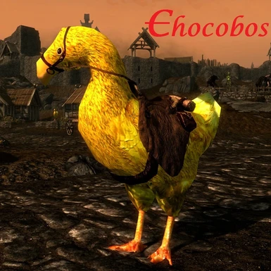 Yellow Chocobo 