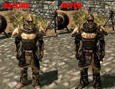 ornate light brigade armor
