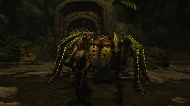 moonpath spider tamed