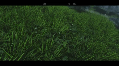 Dense grass and green grass for enb