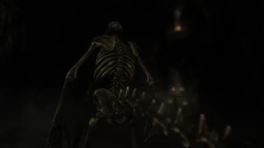 Argonian Skeleton