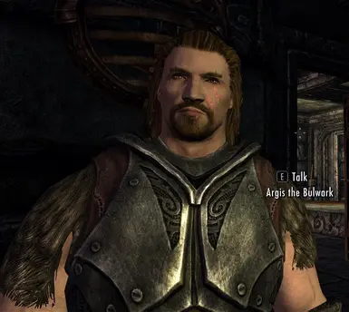 Erik the Dirt Slayer Clean NPCs at Skyrim Nexus - Mods and Community