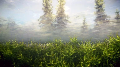 Green Kelp Grass 01