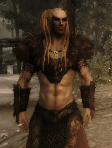 The Well Dressed Mage At Skyrim Nexus Mods And Community