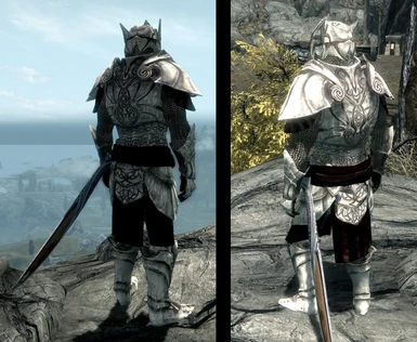 Elven Dragonbone Armor Back