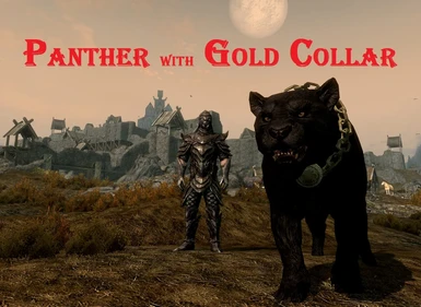 Panther with gold collar