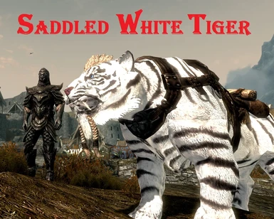 Saddled White Tiger