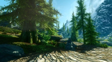 With Nvidia AO HQ All Vanilla textures except armor and race
