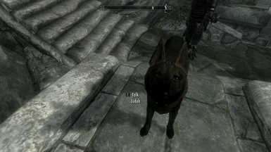 Best dog in Skyrim