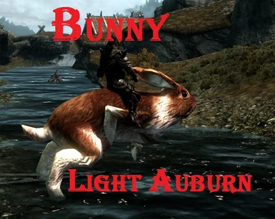 bunny light auburn
