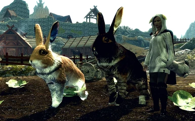 There be Rabbits