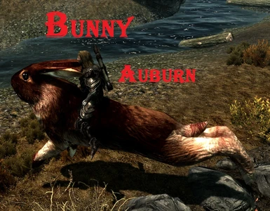 bunny auburn