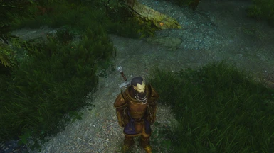 Morrowind Style Beard - High Elf
