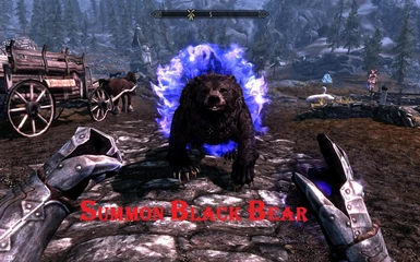 summon black bear