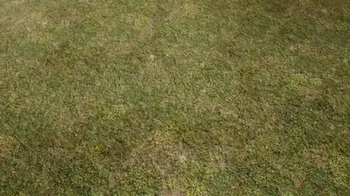 Natural Grass Texture Floor