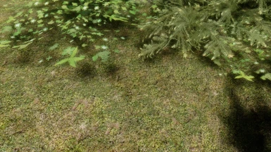Natura Grass Texture Floor 02