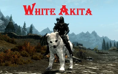 White Akita