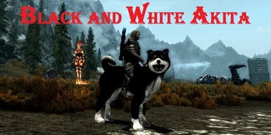 Black and white Akita